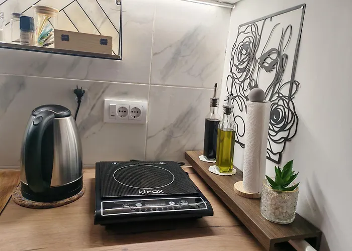 Kalemegdan 2 Apartament Belgrad